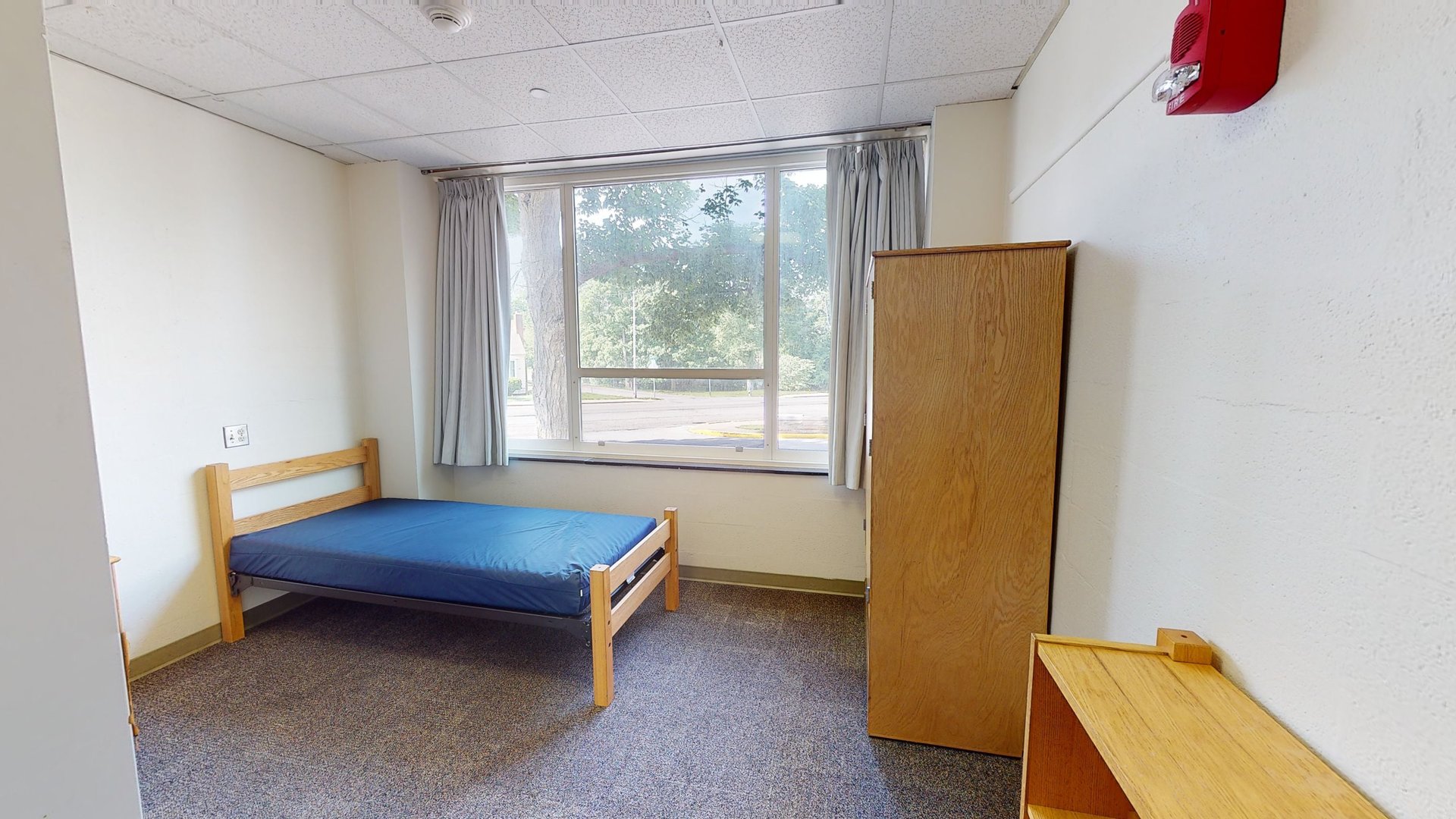 Forest Quad – Single Room